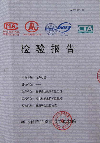 檢驗(yàn)報告